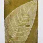 Gellidruck mit Skelettblatt